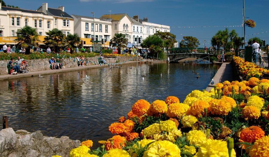 شقة Dawlish Lawn View المظهر الخارجي الصورة